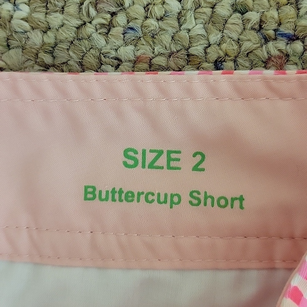 Lilly Pulitzer Pink Gingham Buttercup Shorts Sz 2. Cotton cottagecore summer - Picture 3 of 6